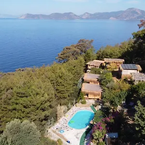 Honey Hill Forest Cabins By The Sea Отель типа 